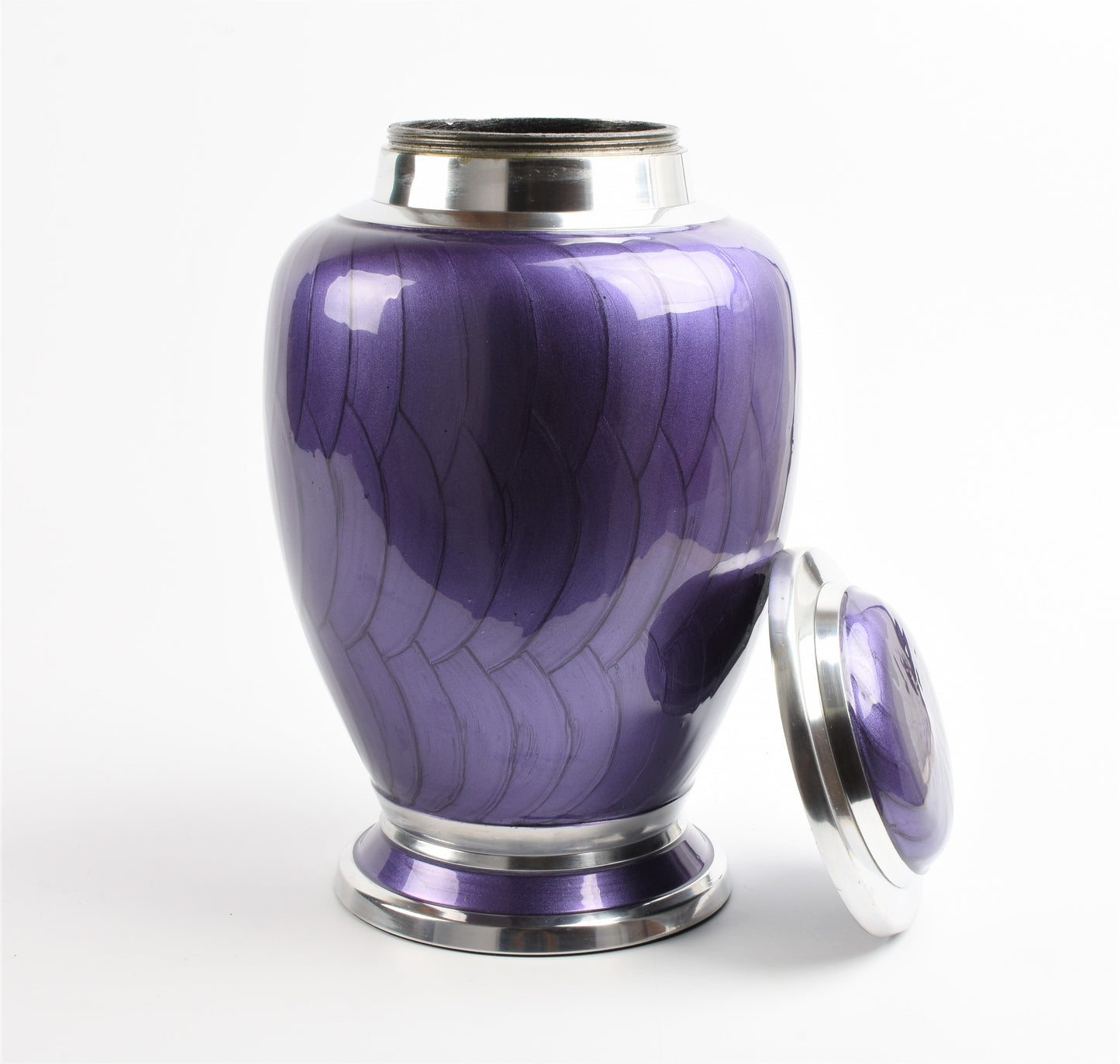 Purple and Silver Butterfly