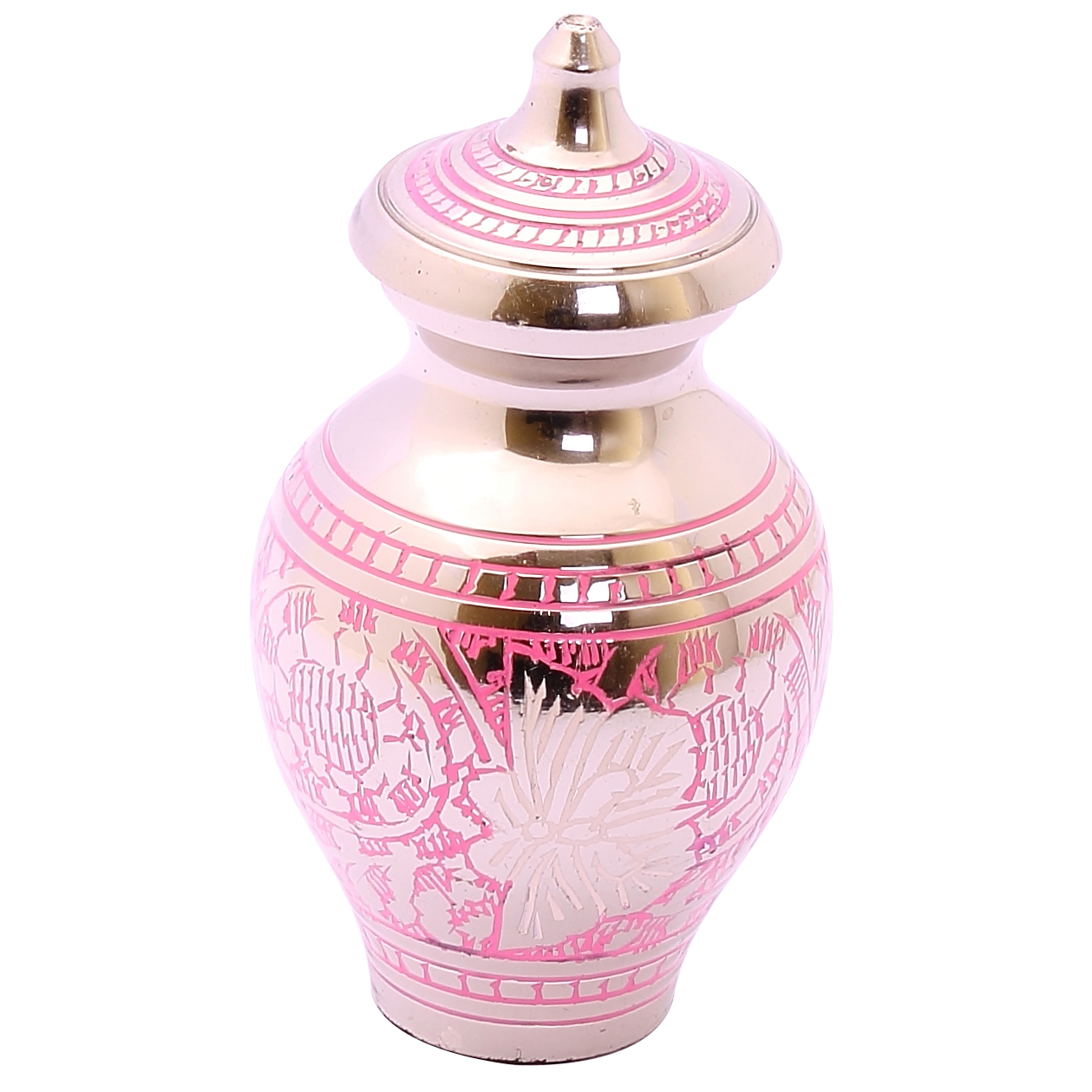 Pink Pitcher Butterfly Mini Keepsake