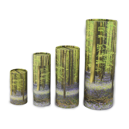 Bluebell Forest Scatter Tube / Biodegradable Urn - 4 Sizes
