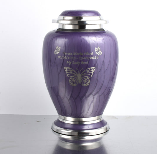 Purple and Silver Butterfly